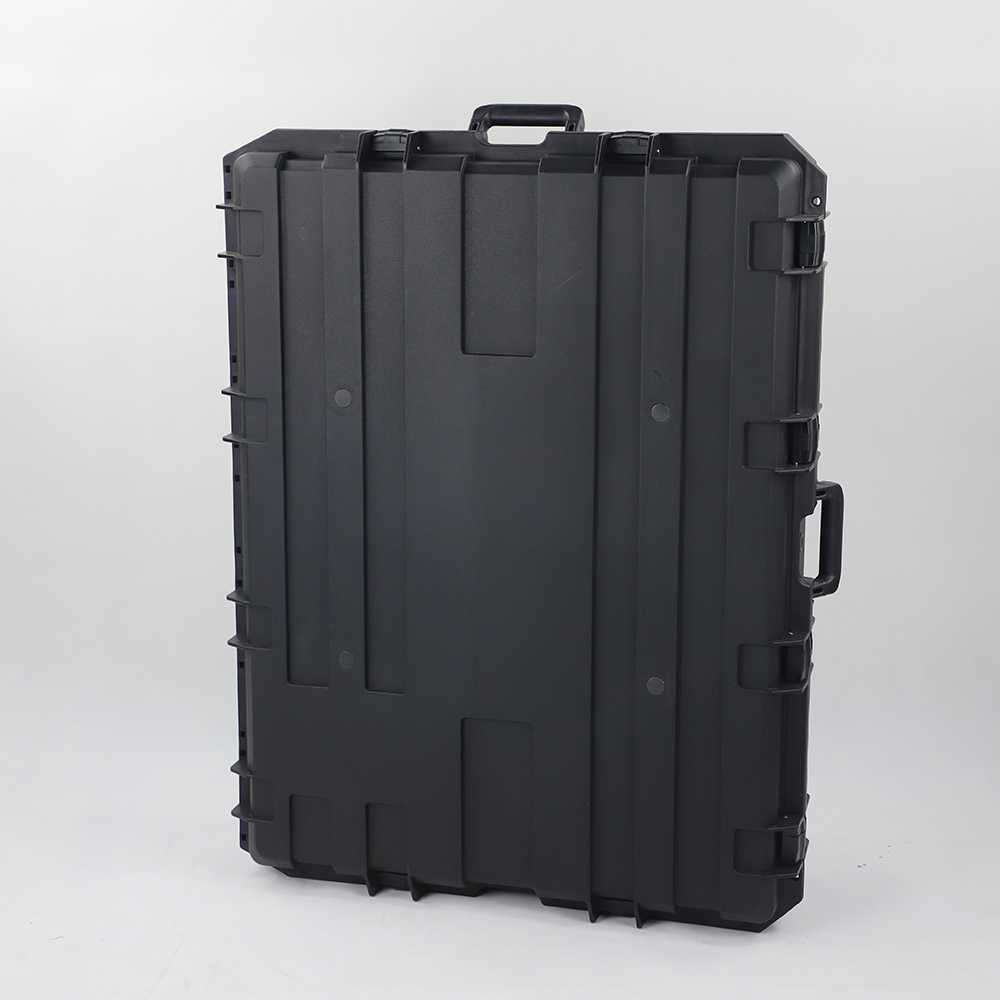 sig sauer pistol case